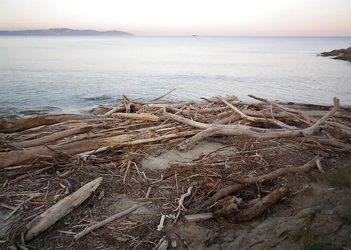 La Bastide Fleurie アパート